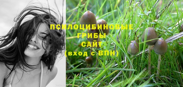 спиды Балабаново
