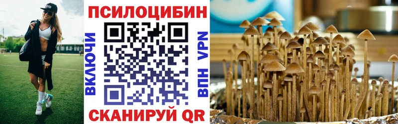 наркошоп  Нягань  Галлюциногенные грибы Magic Shrooms 